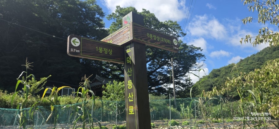 고덕산 사진 5