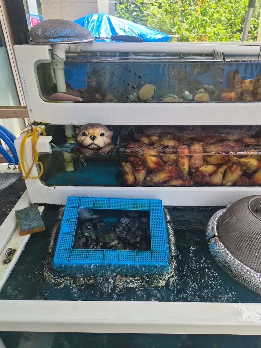 오늘도횟집 사진 2
