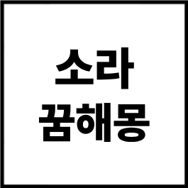소라 꿈해몽 총정리｜소라 잡는 꿈, 소라 줍는 꿈, 소라 먹는 꿈, 큰 소라 꿈 상황별 해석