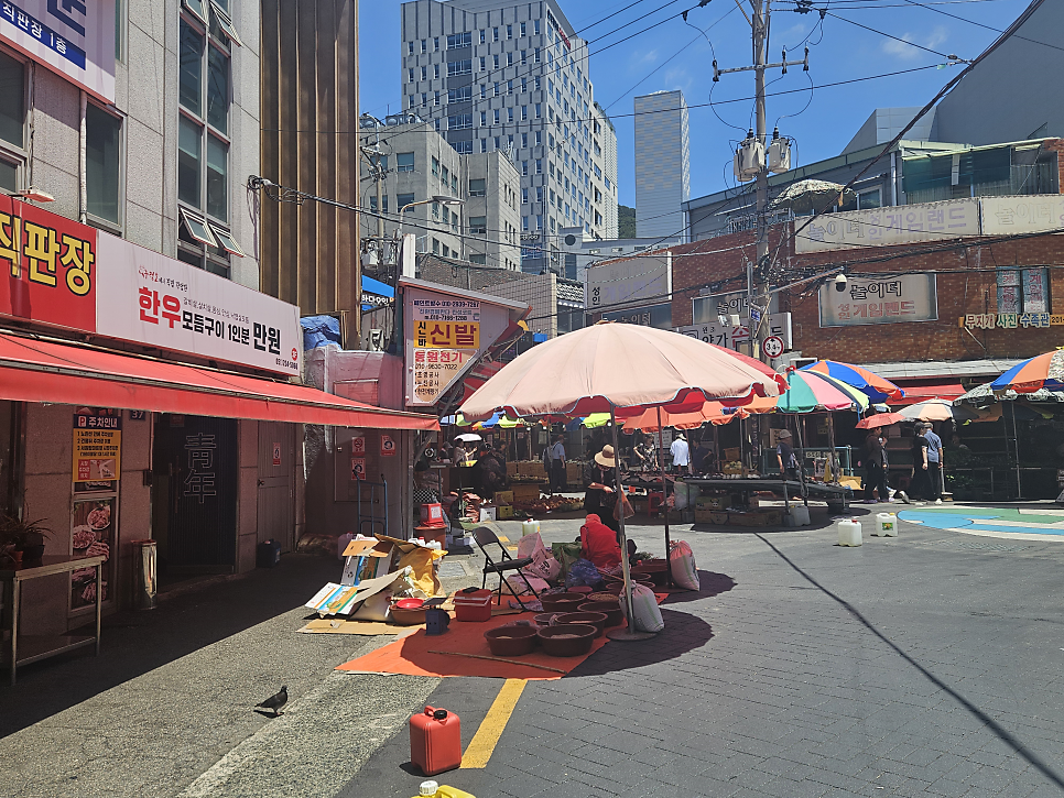 시골돼지국밥 사진 4