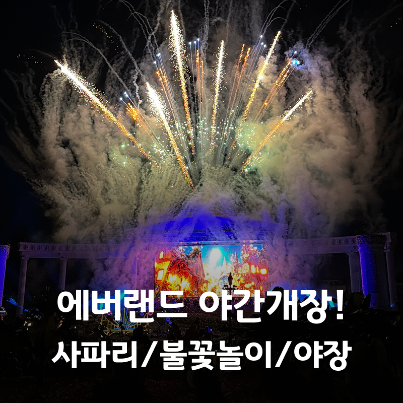 에버랜드 야간개장! 나이트사파리 퍼레이드 불꽃놀이 명당 캐버랜드 야장 총정리