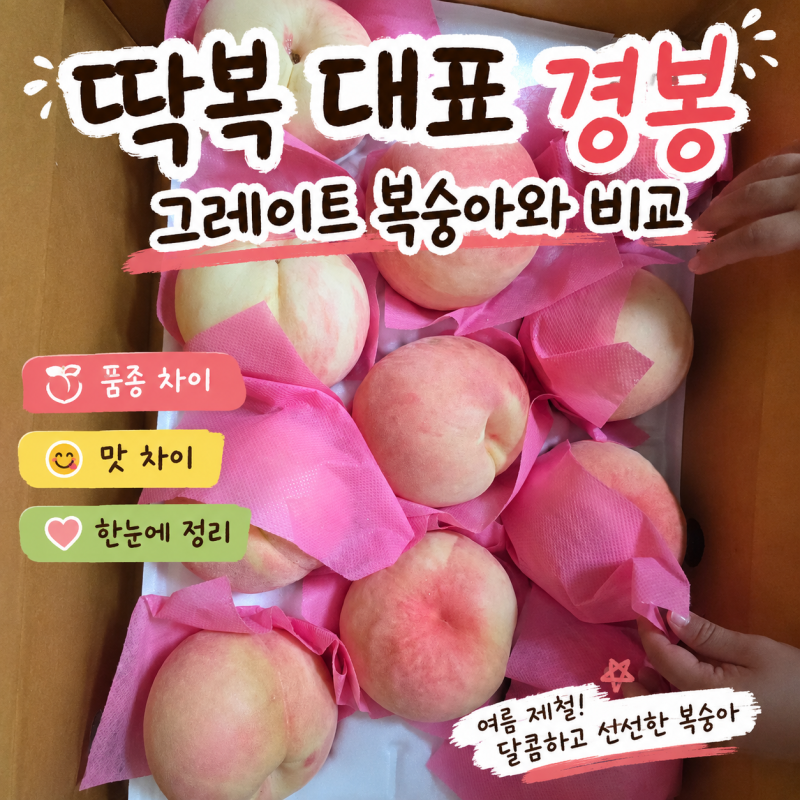 올해 세 번째 딱복 경봉, 그레이트 복숭아와 비교 후기