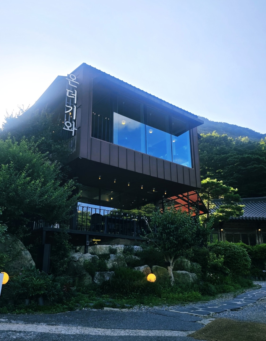 온더기와 사진 4