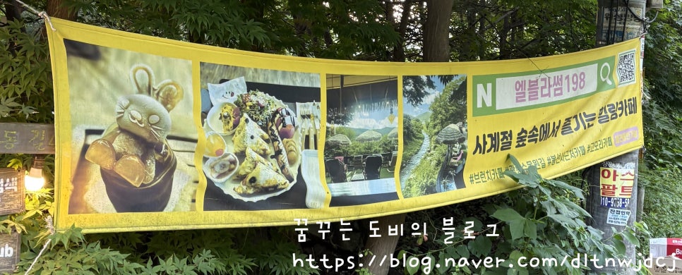 블라썸 사진 3