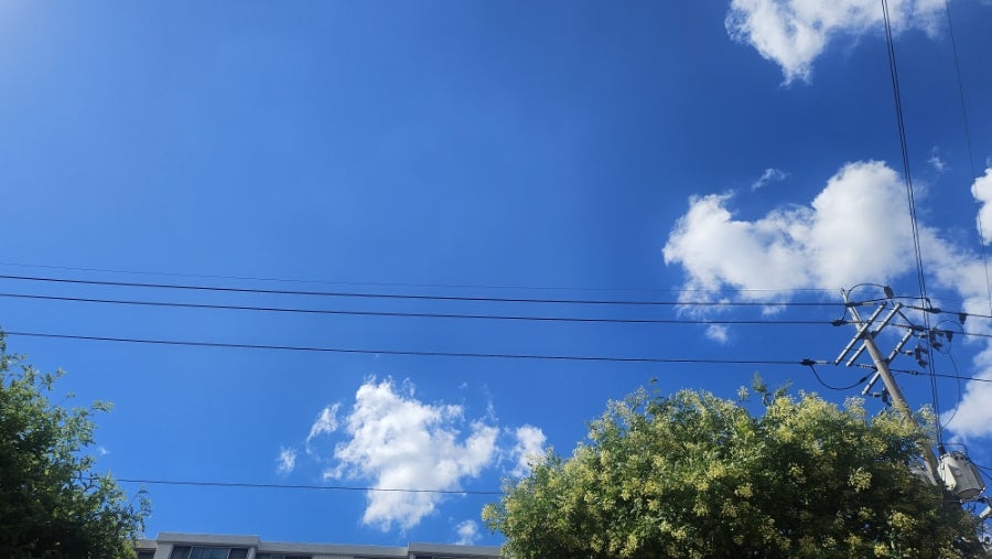 올바른 옛날닭강정 사진 1