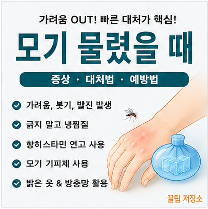 모기 물렸을 때 조치방법, 퇴치방법, 가려움증 해결 및 모기약 성분