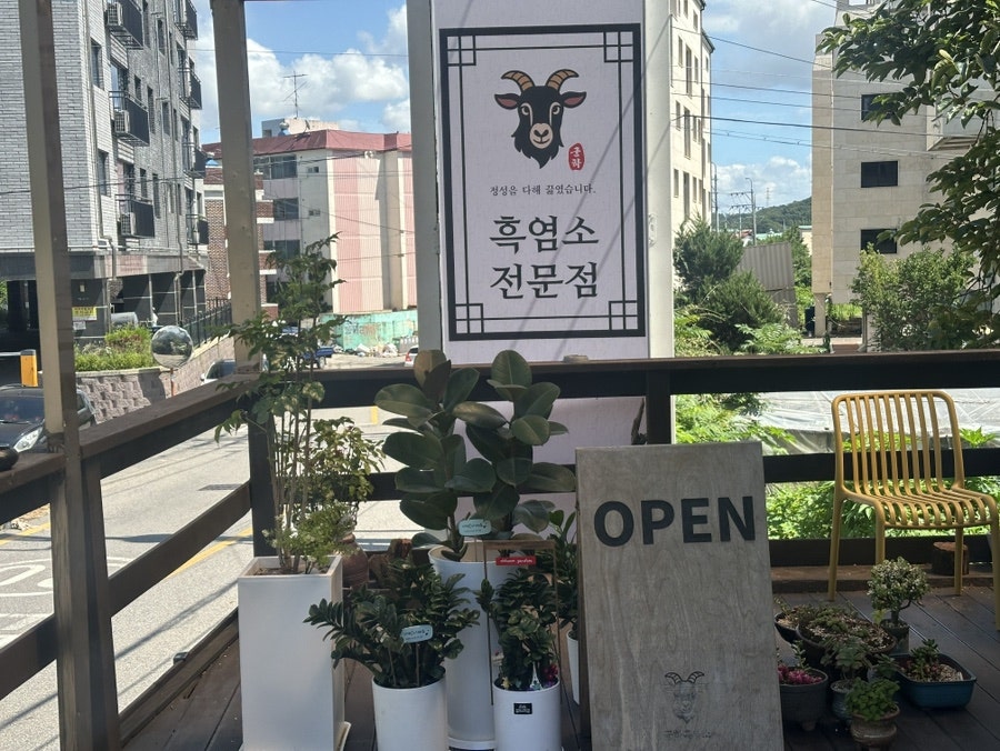 군하흑염소 사진 4