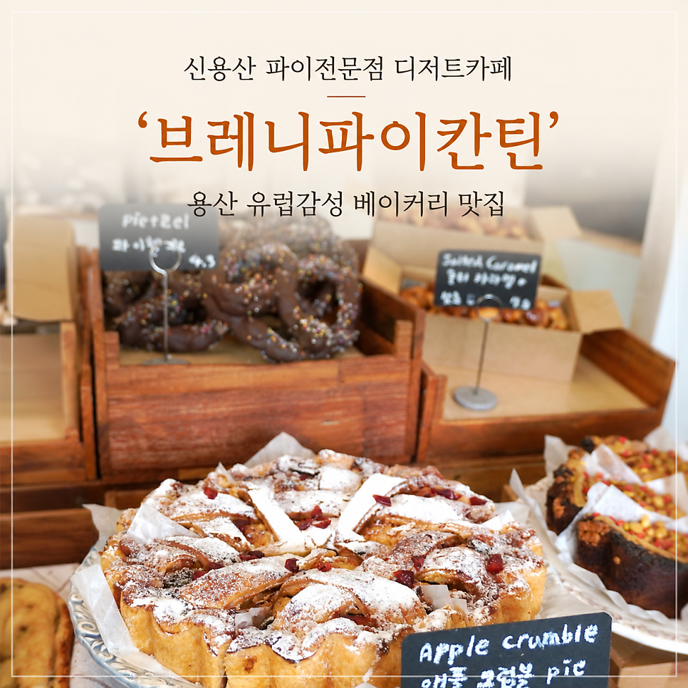 브레니파이칸틴 사진 1