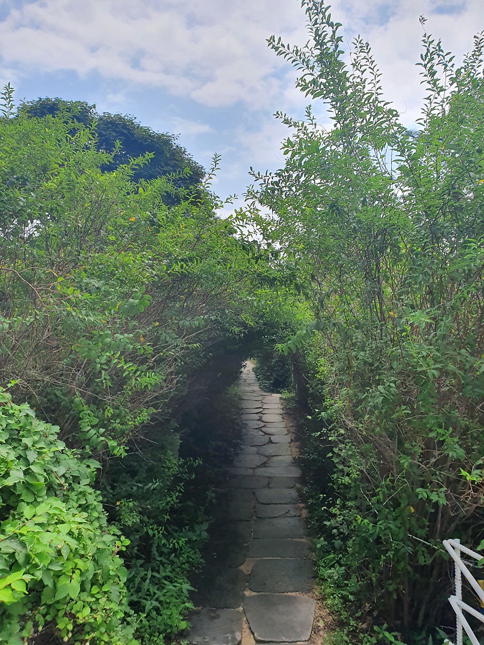 도레도레 강화점 사진 4