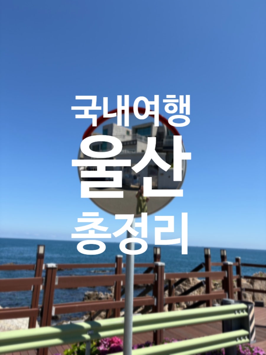 언양닭칼국수 태화점 사진 1