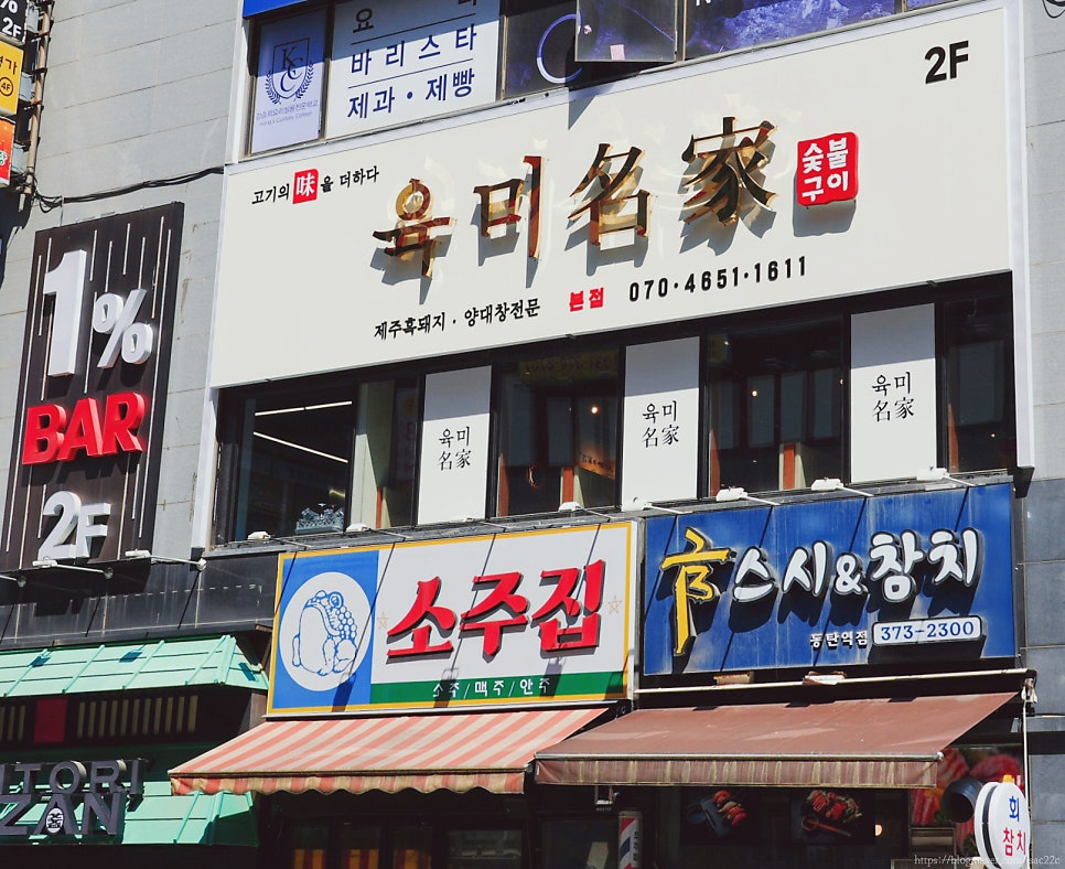 흑돼지 사진 1