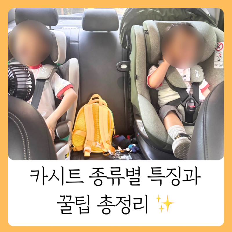 카시트 고민 이 글 하나로 끝내세요 종류별 완벽 가이드 실사용 후기 까지