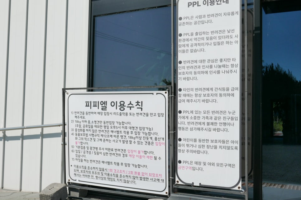 피피엘 사진 2