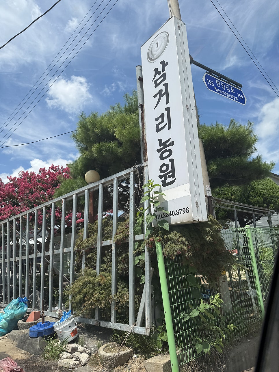 삼거리농원 사진 2