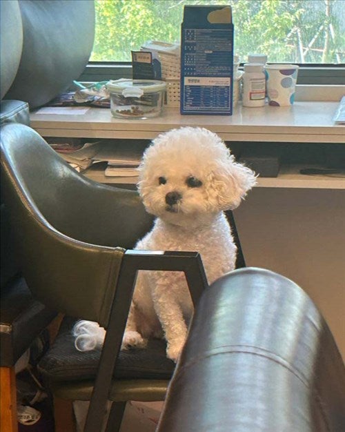 하루 사진 6