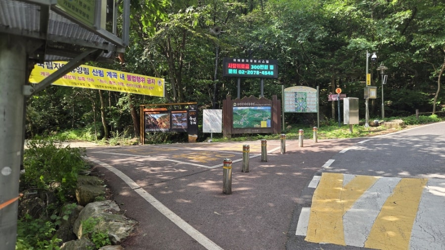 유명산 사진 5