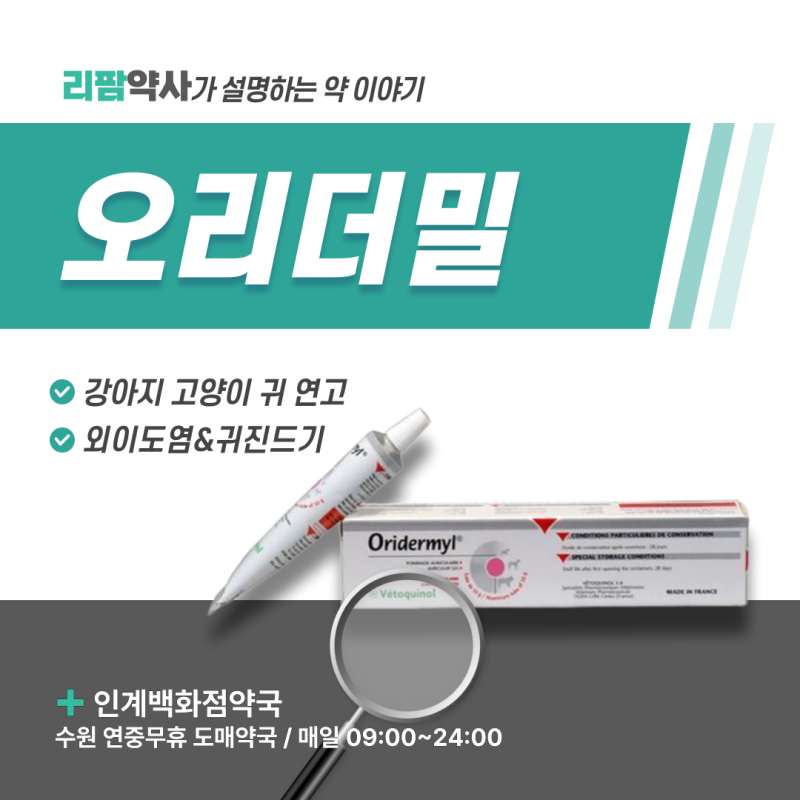 수원 동물약국 오리더밀(Oridermyl) 연고 사용법 | 강아지 고양이 외이도염 치료제