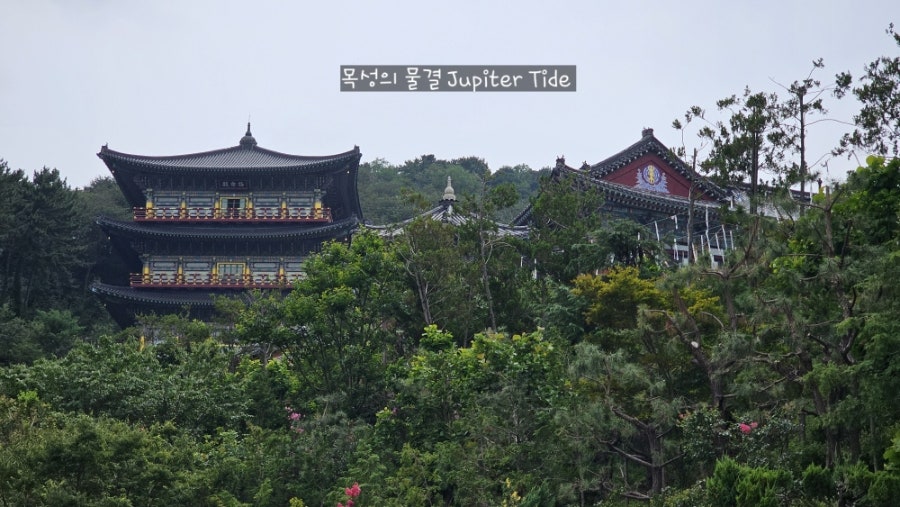 대산보리밥 사진 2
