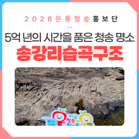 5억 년의 시간을 품은 청송 명소 송강리습곡구조