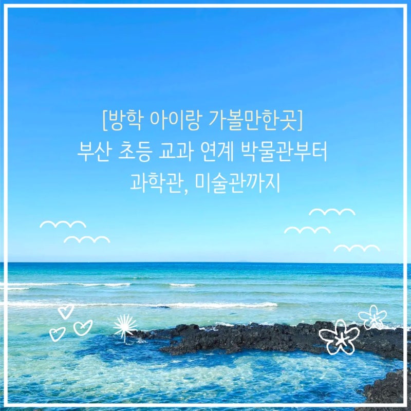 [방학 아이랑 가볼만한곳] 부산 초등 교과 연계 박물관부터 과학관, 미술관까지