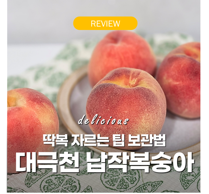 대극천 납작복숭아 차이 "무르지 않는 딱복 보관법" 쉽게 자르는 팁 월간 제철 과일