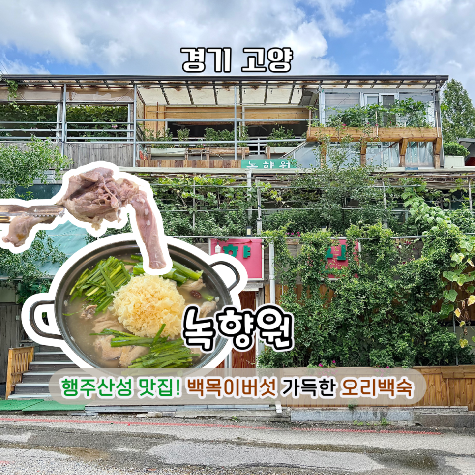 오페라디바스 사진 1