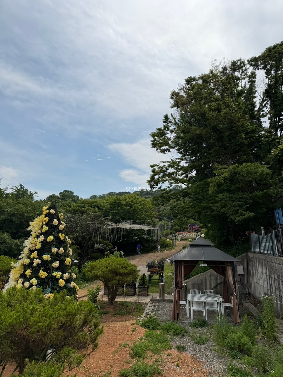 카페드첼시 사진 5
