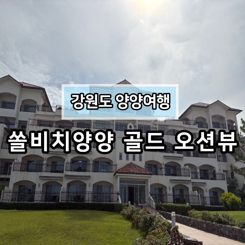 [양양여행] 쏠비치양양리조트 골드 오션뷰 룸 타입 후기(취사O)