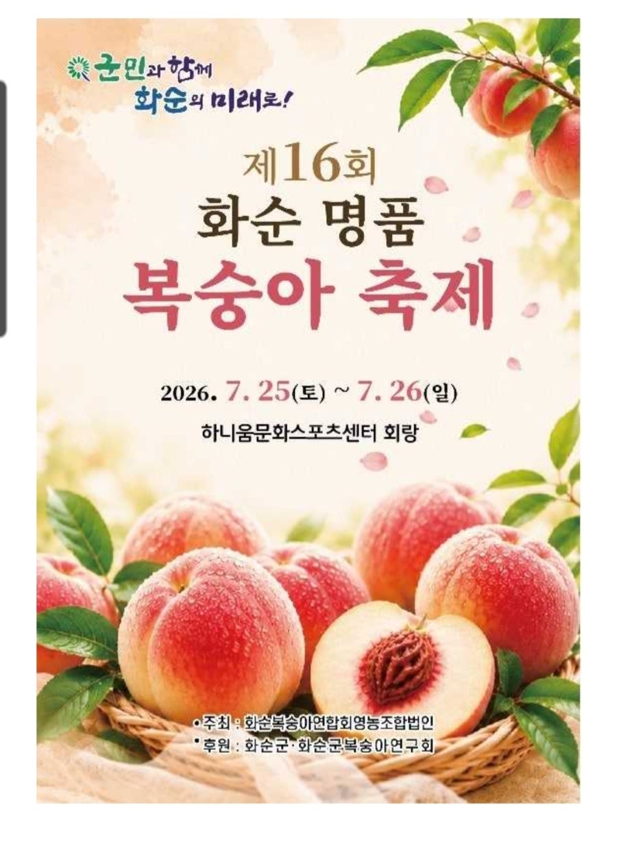 벽오동 사진 1