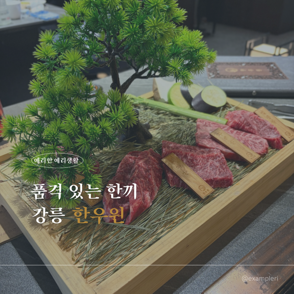 강릉 한우원 사진 1