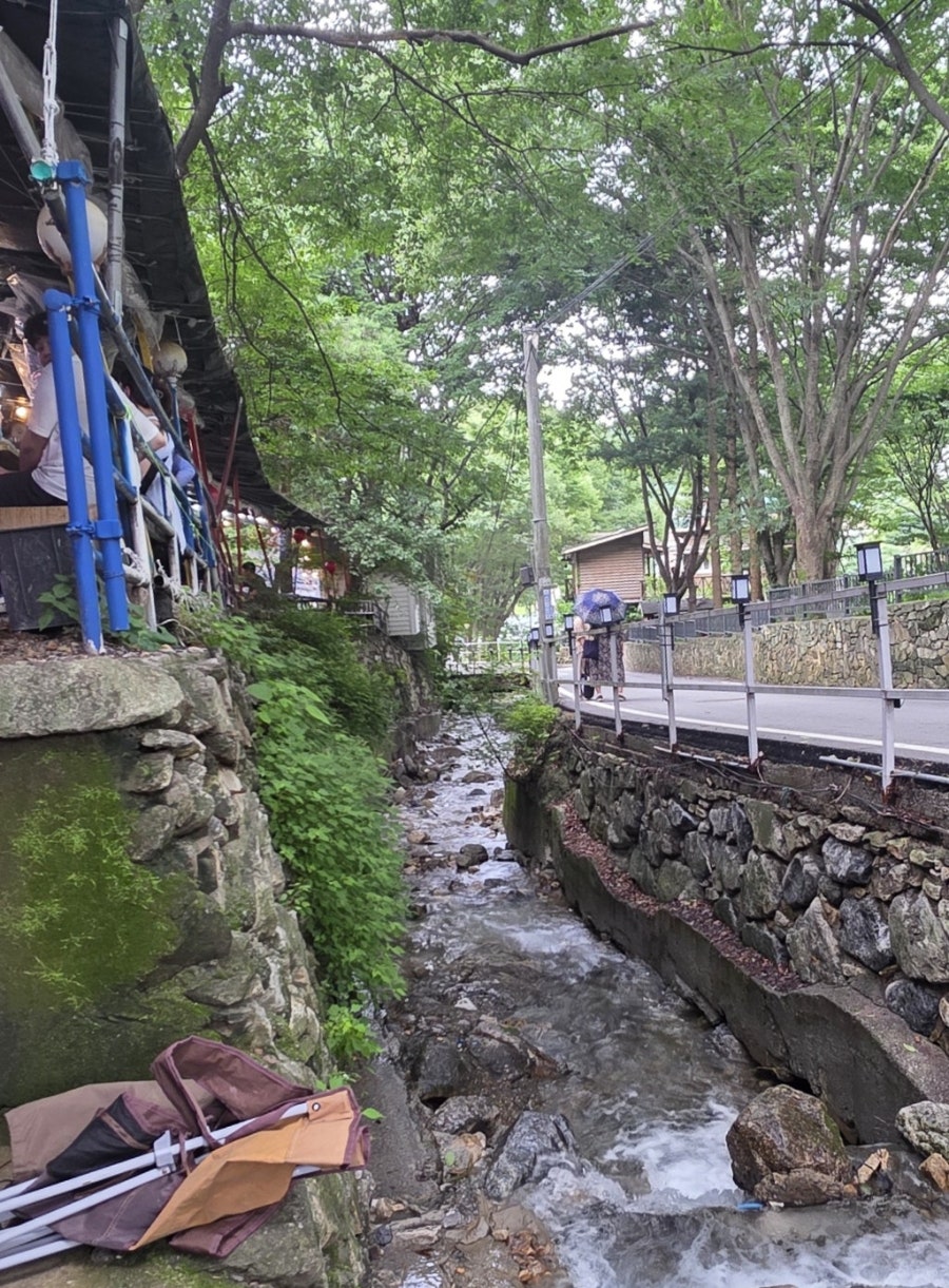 솔내음 사진 5