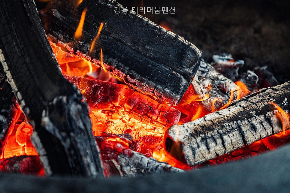 머뭄 사진 3