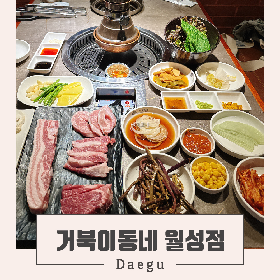 거북이동네 대구월성점 사진 1