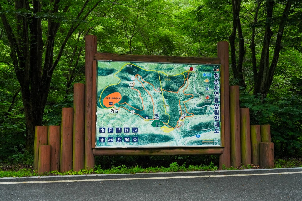 청송자연휴양림 사진 5