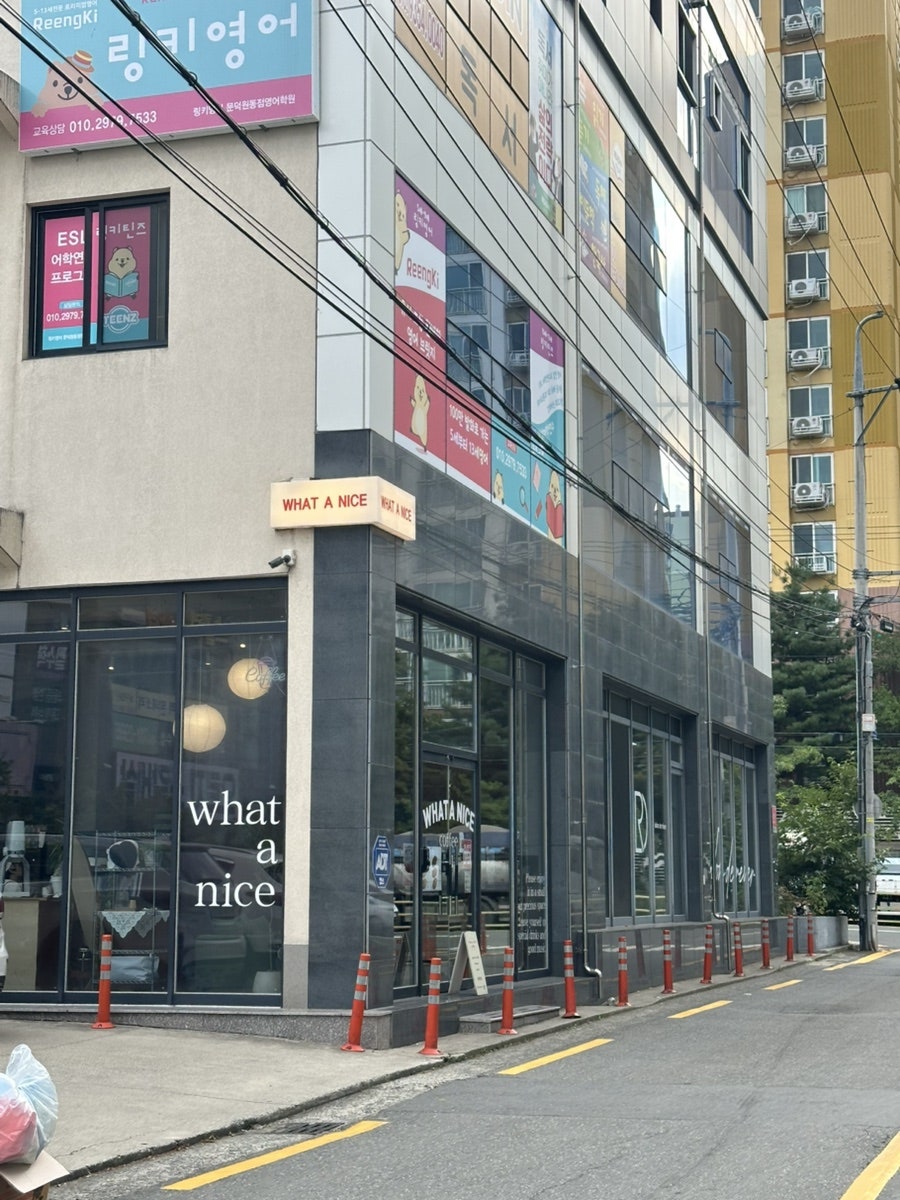 왓어나이스 사진 3
