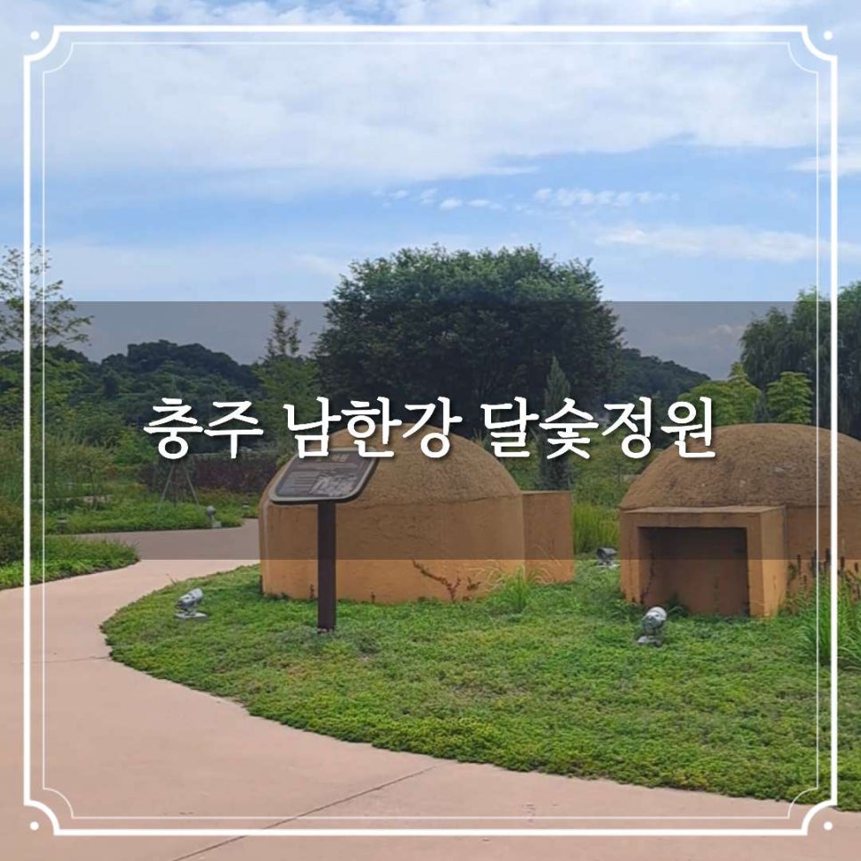 모이래 사진 1