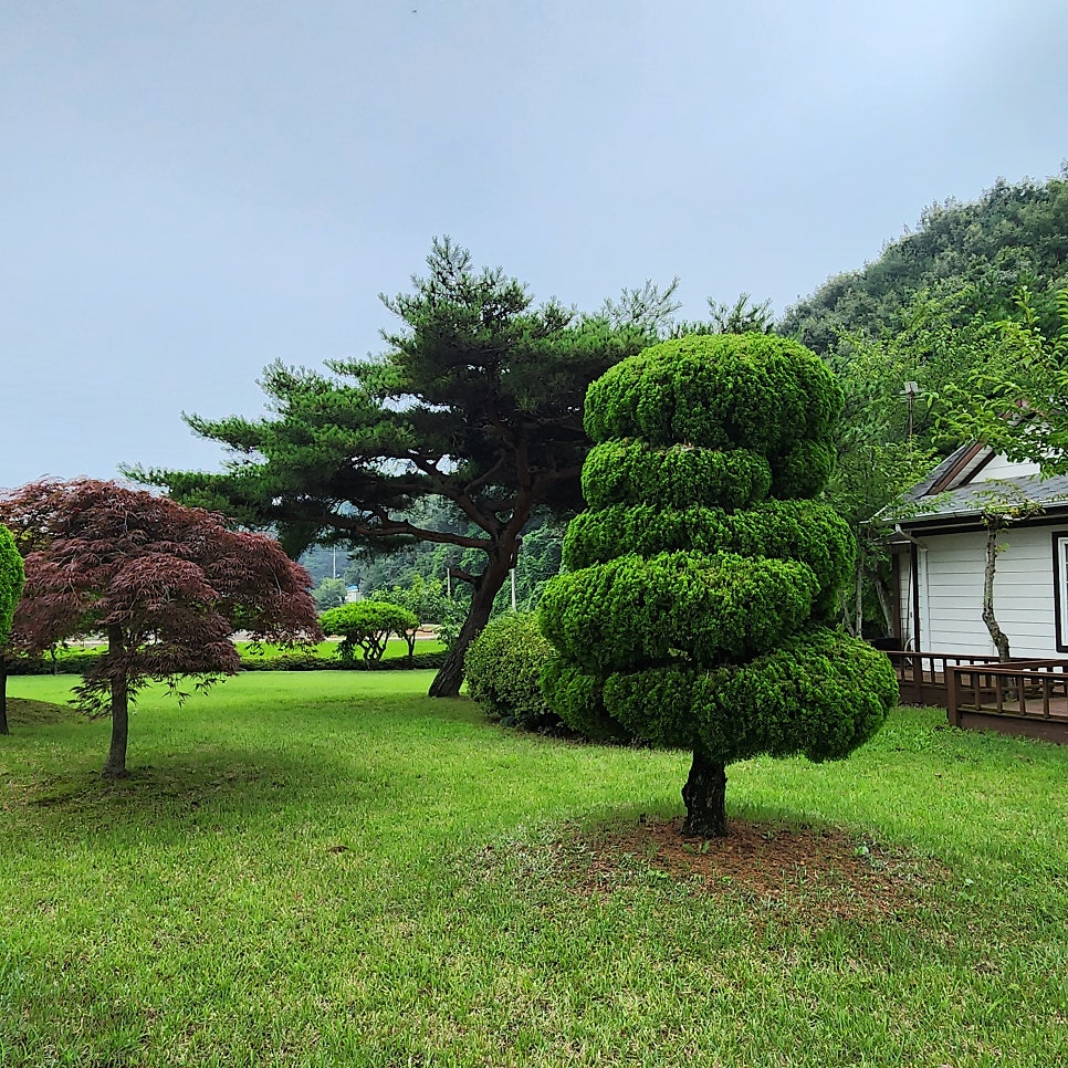 마실 사진 5