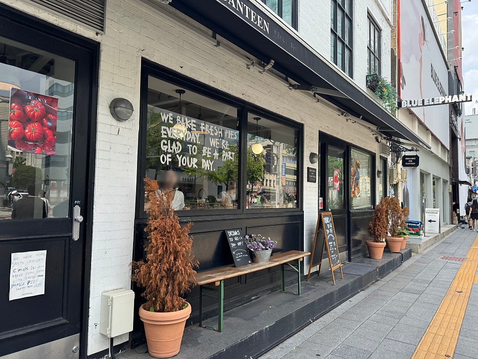브레니파이칸틴 사진 2