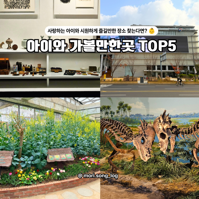 서울 놀거리 실내 아이랑 갈만한곳 TOP5, 반나절 순삭 국내 여름 휴가지 추천