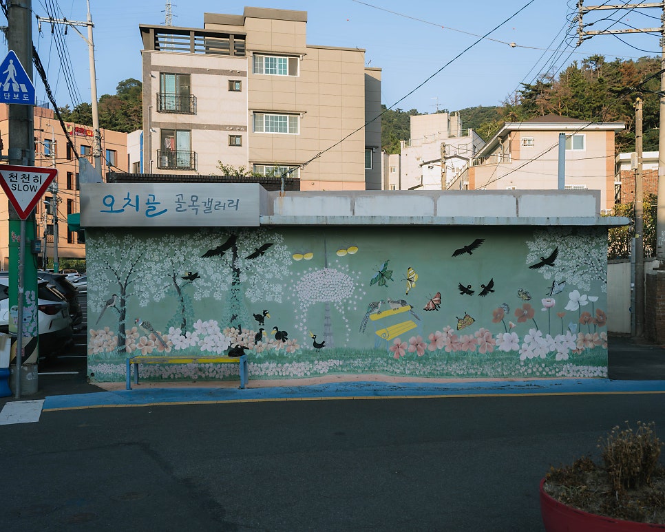 오치골 사진 5