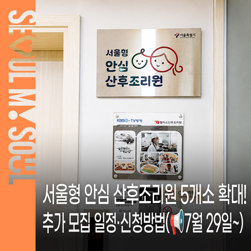 서울형 안심 산후조리원 추가 모집(7월 29일~) 일정·대상·신청방법, 서울시 임산부 지원 혜택....