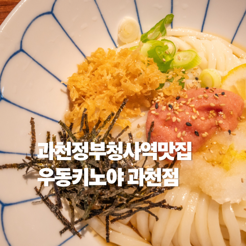 과천우동 줄서는 정부과천청사역 맛집 우동키노야