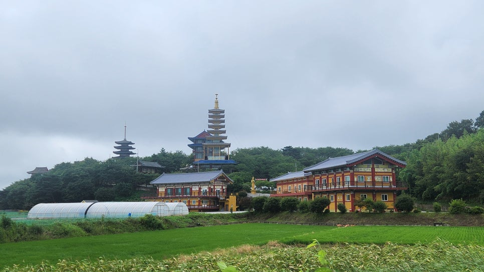 마실 사진 2
