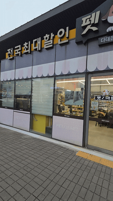 부산 다대포 펫마트 애견용품 할인마트에서 강아지 진드기방지 옷 구매 후기