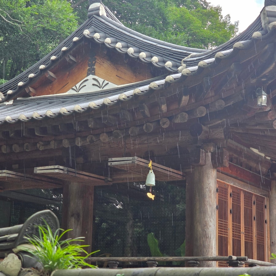 바지라기 사진 4