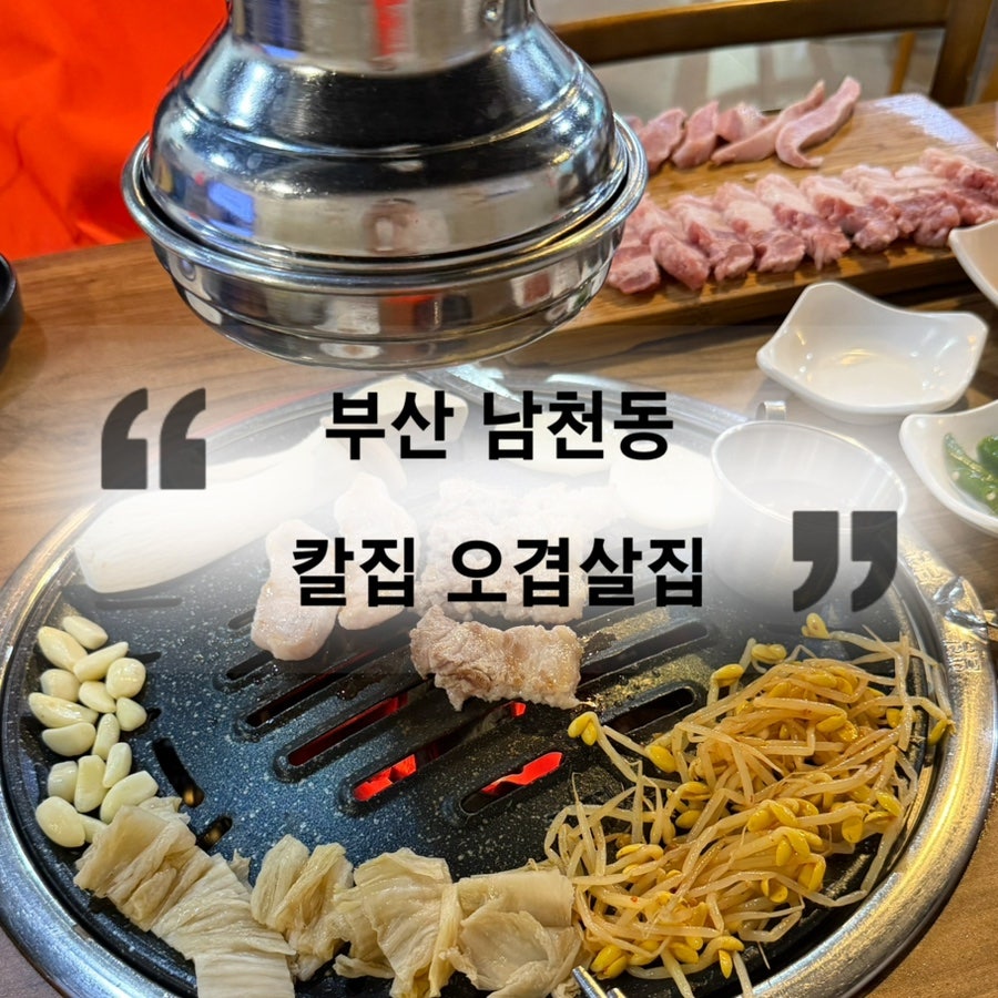 돼지집 사진 1