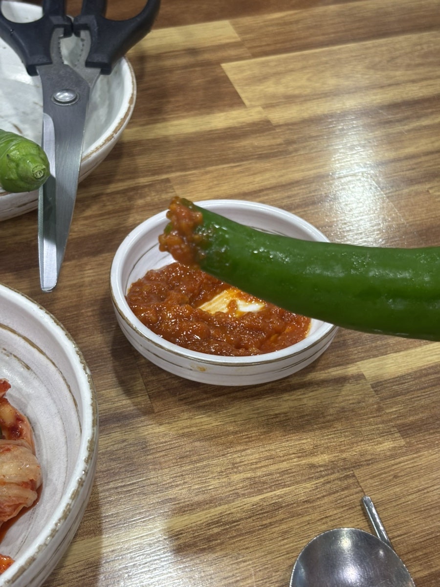 제갈콩명 사진 5