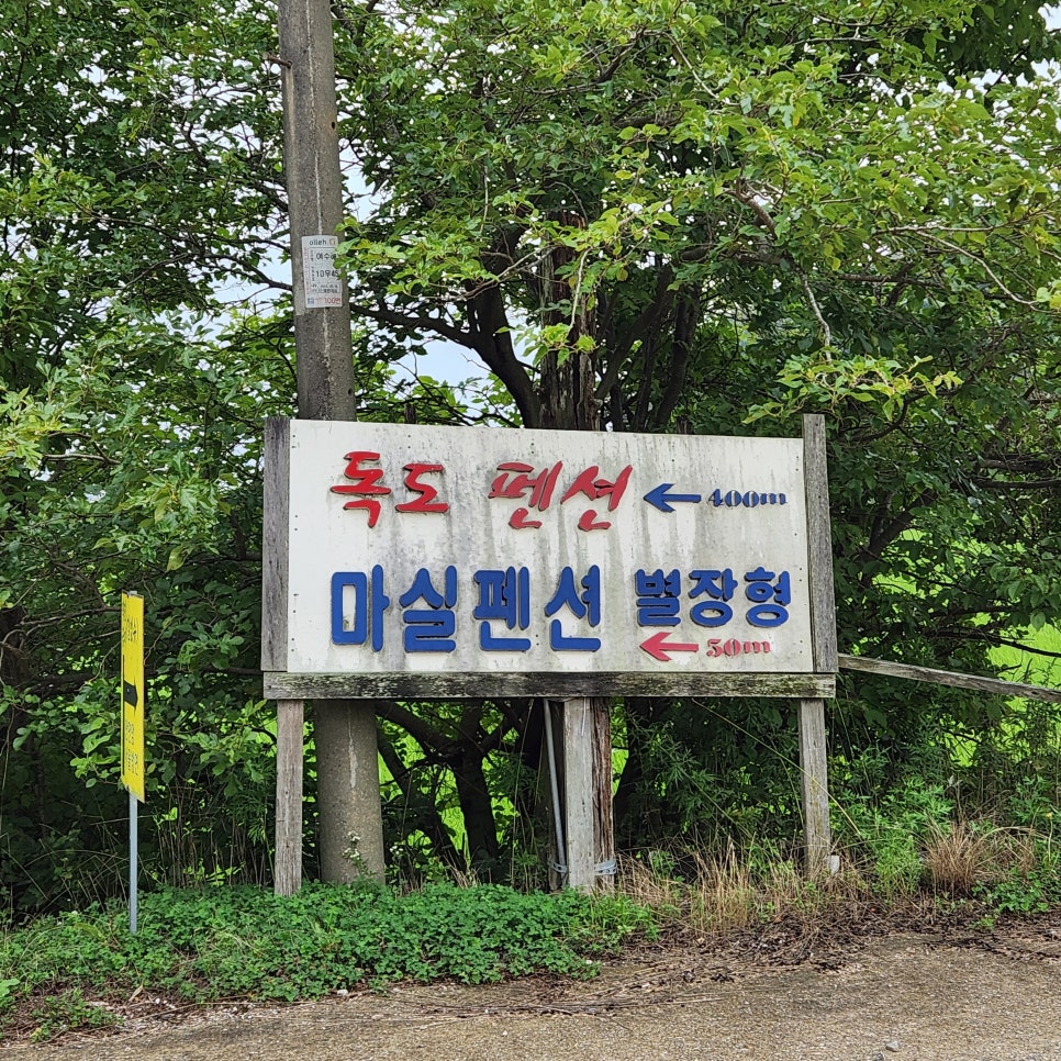 마실 사진 3