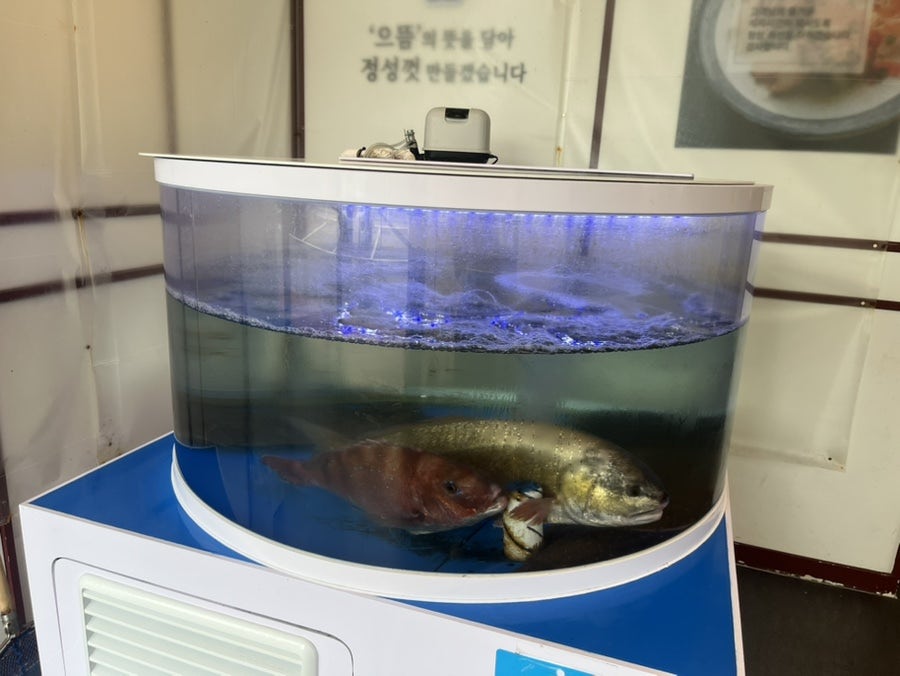 으뜸스시 평택송탄점 사진 2