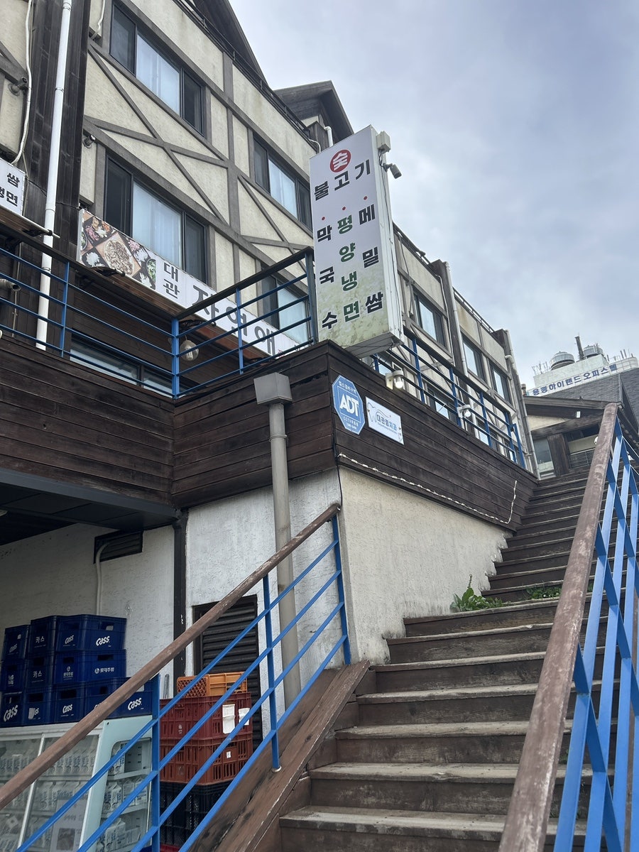 대관령자연애 사진 3